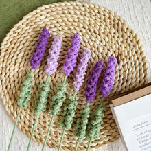 Load image into Gallery viewer, Lavender Crochet Kit Purple