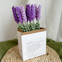 Load image into Gallery viewer, Lavender Crochet Kit Purple