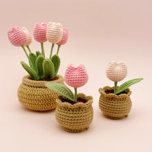 Load image into Gallery viewer, 8in1 Pots of Crochet Flowers Pattern Bundle