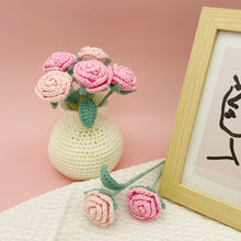 Load image into Gallery viewer, Flower with Vase Crochet Pattern Bundle