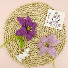 Load image into Gallery viewer, Small Lily with Vase Crochet Pattern
