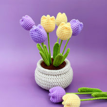 Load image into Gallery viewer, Tulip Flowerpot Crochet Kit Purple&Yellow
