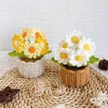 Load image into Gallery viewer, 8in1 Pots of Crochet Flowers Pattern Bundle
