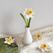 Load image into Gallery viewer, Rainbow Flora Pattern Bundle