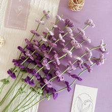 Load image into Gallery viewer, Rainbow Flora Pattern Bundle