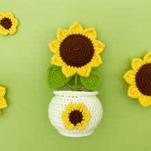 Load image into Gallery viewer, 8in1 Pots of Crochet Flowers Pattern Bundle