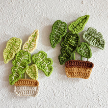 Load image into Gallery viewer, Flat Monstera Pot Crochet Pattern