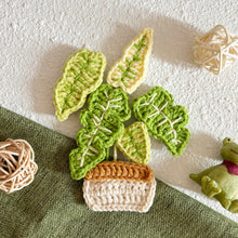 Load image into Gallery viewer, Flat Monstera Pot Crochet Pattern