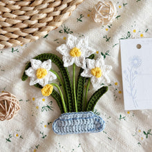 Load image into Gallery viewer, Flat Daffodils Vase Crochet Pattern
