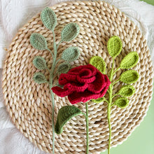 Load image into Gallery viewer, Eucalyptus Cinerea Crochet Pattern