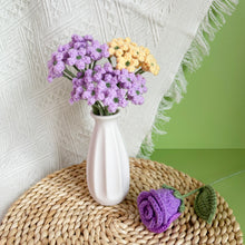 Load image into Gallery viewer, Baby Breath Flower Crochet Pattern