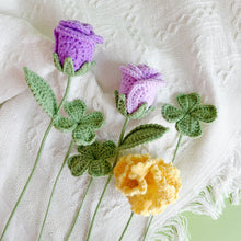 Load image into Gallery viewer, Carnation Flower Bouquet Crochet Patterns