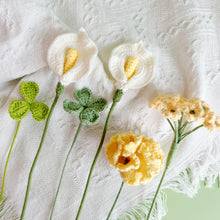 Load image into Gallery viewer, Carnation Flower Bouquet Crochet Patterns