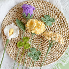 Load image into Gallery viewer, Carnation Flower Bouquet Crochet Patterns