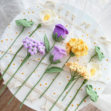 Load image into Gallery viewer, Carnation Flower Bouquet Crochet Patterns