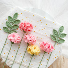 Load image into Gallery viewer, Carnation & Ash Leaf Crochet Kit