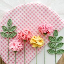 Load image into Gallery viewer, Carnation & Ash Leaf Crochet Kit