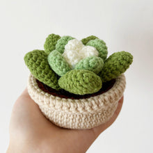 Load image into Gallery viewer, Succulents in Pot Crochet Pattern