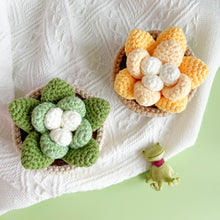 Load image into Gallery viewer, Succulents in Pot Crochet Pattern