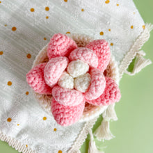 Load image into Gallery viewer, Succulents in Pot Crochet Pattern