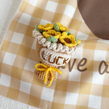 Load image into Gallery viewer, Mini Bouquets Crochet Pattern Bundle