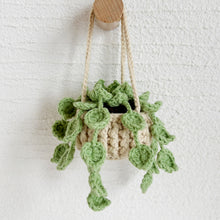 Load image into Gallery viewer, Tiny Pothos Jade Light Green