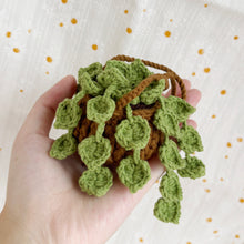 Load image into Gallery viewer, Tiny Pothos Jade Dark Green