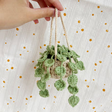 Load image into Gallery viewer, Tiny Pothos Jade Light Green