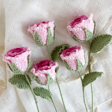 Load image into Gallery viewer, Roselle Crochet Pattern