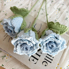 Load image into Gallery viewer, Roselle Crochet Pattern