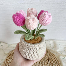 Load image into Gallery viewer, Tulip Flowerpot Pink