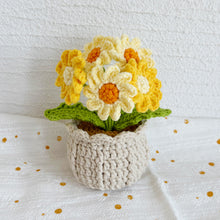 Load image into Gallery viewer, Daisy Flowerpot Crochet Pattern