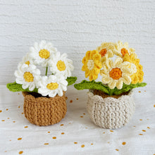 Load image into Gallery viewer, Daisy Flowerpot Crochet Pattern
