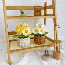 Load image into Gallery viewer, Daisy Flowerpot Crochet Pattern