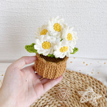 Load image into Gallery viewer, Daisy Flowerpot Crochet Pattern