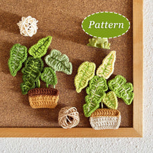 Load image into Gallery viewer, Flat Monstera Pot Crochet Pattern
