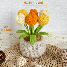 Load image into Gallery viewer, Tulip Flowerpot Yellow
