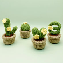 Load image into Gallery viewer, Cactus LOVE Crochet Kit