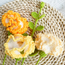 Load image into Gallery viewer, Carnation & Eucalyptus Crochet Pattern