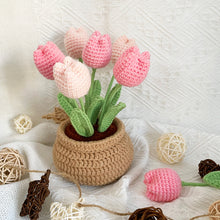 Load image into Gallery viewer, Tulip Flowerpot Crochet Kit Pink