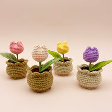Load image into Gallery viewer, 8in1 Pots of Crochet Flowers Pattern Bundle
