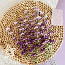 Load image into Gallery viewer, Lavender Crochet Pattern
