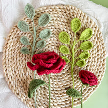 Load image into Gallery viewer, Eucalyptus Cinerea Crochet Pattern
