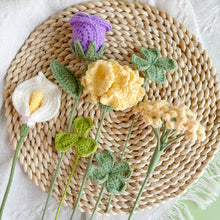 Load image into Gallery viewer, Carnation Flower Bouquet Crochet Patterns
