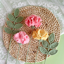 Load image into Gallery viewer, Carnation &amp; Ash Leaf Crochet Kit
