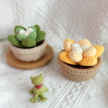 Load image into Gallery viewer, Succulents in Pot Crochet Pattern
