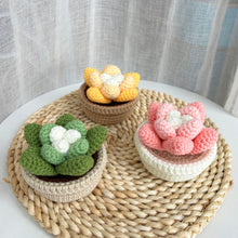 Load image into Gallery viewer, Succulents in Pot Crochet Pattern
