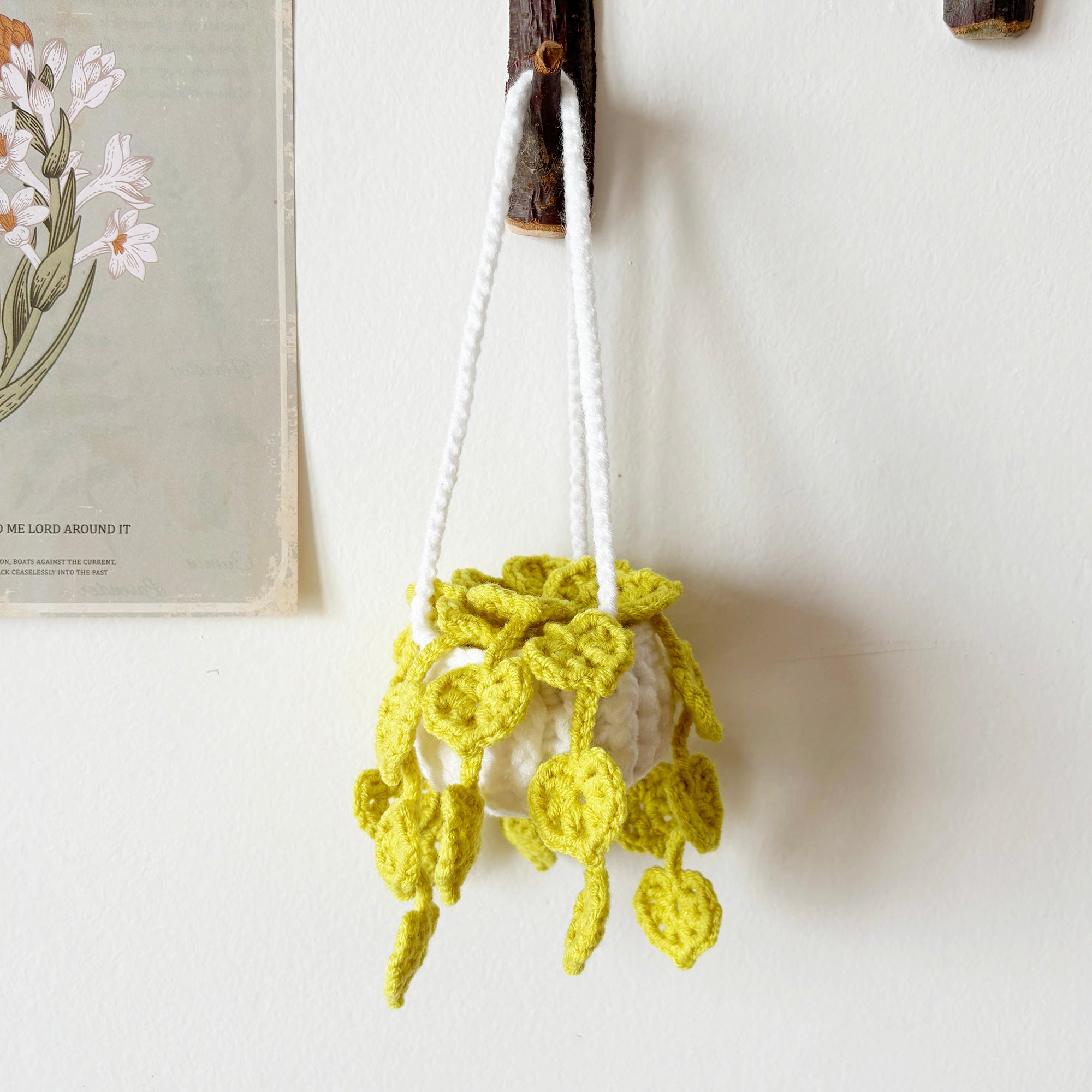 crochet hanging monstera plant pattern Tiny Pothos Monstera Crochet Pattern – Lily's Lyric