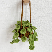 Load image into Gallery viewer, Tiny Pothos Jade Dark Green
