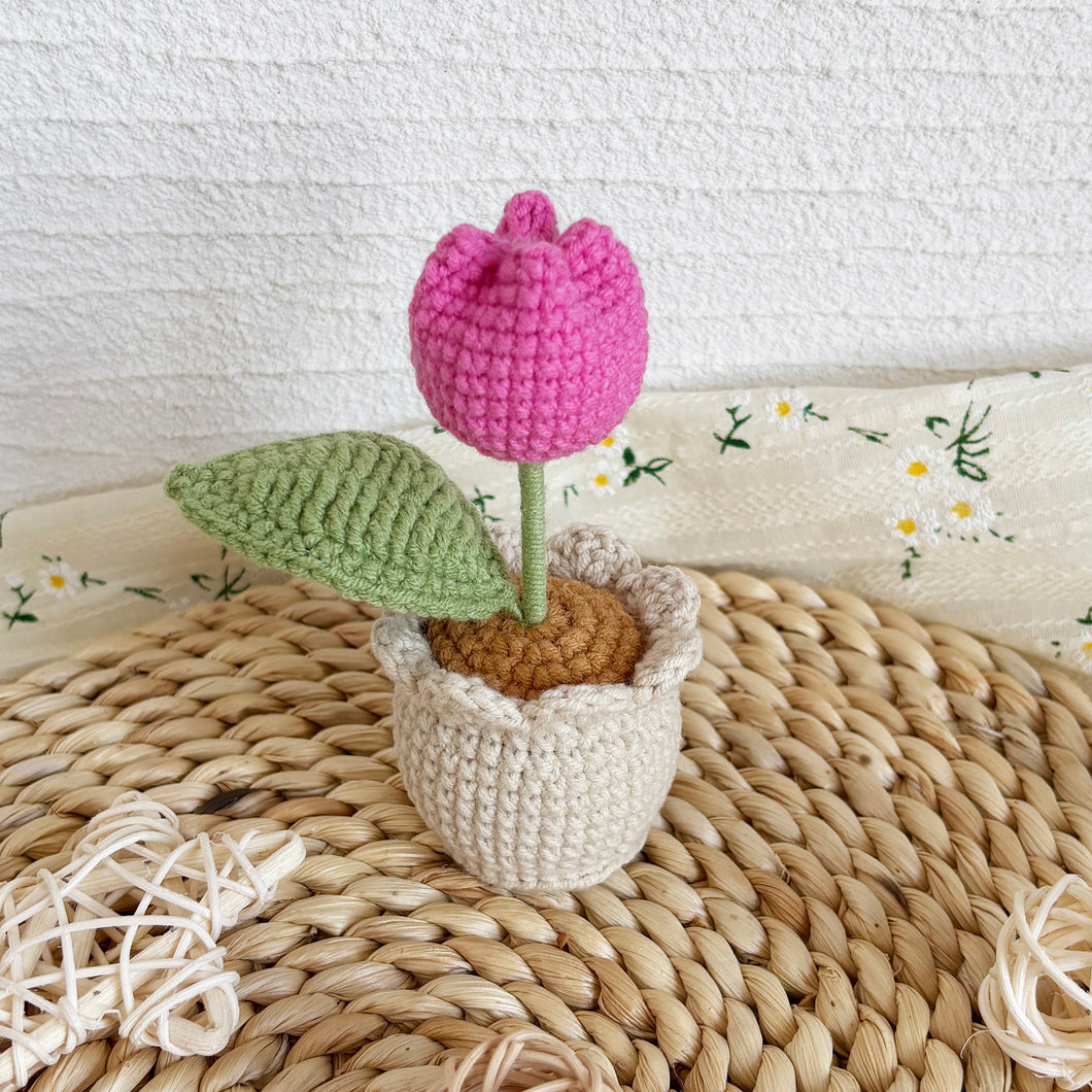 Mini Tulip Pot Pink